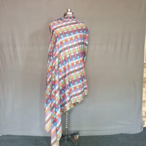 Handwoven Pure Pashmina Shawl – Vibrant Multitone Elegance with Embroidered Detailing