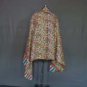 Pure Pashmina Multicolored Embroidered Shawl – Living Heritage