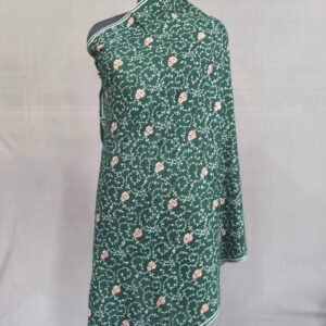 Pure Pashmina Green Embroidered Shawl